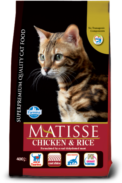 MATISSE Chicken & Rice Adult