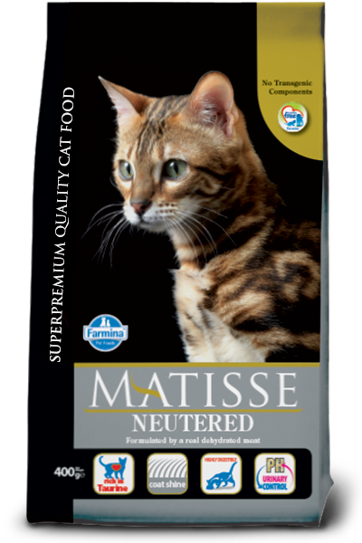 MATISSE  Chicken Adult NEUTERED