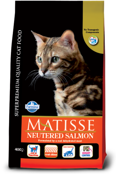 MATISSE Salmon Adult NEUTERED