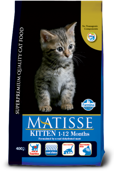 MATISSE Chicken KITTEN