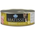 MATISSE CAT MOUSSE RABBIT