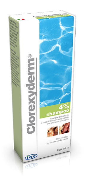 Clorexyderm Šampoon 4%