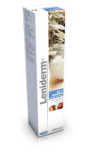 Leniderm Foam