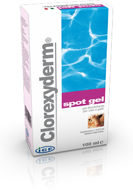 Clorexyderm Spot Gel